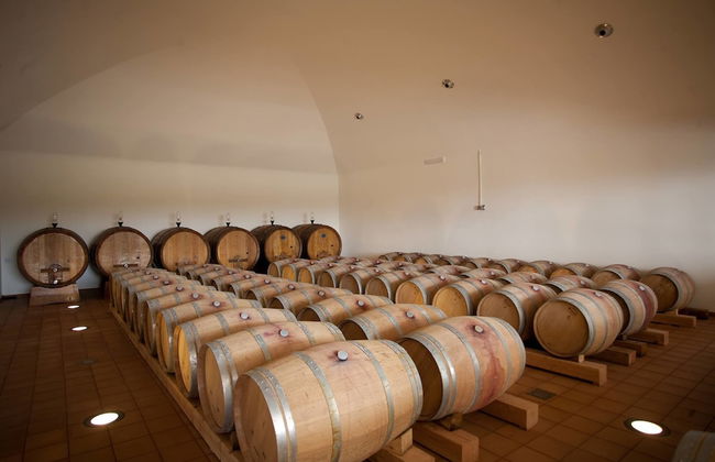 Fattoria di Fubbiano - Foto 11
