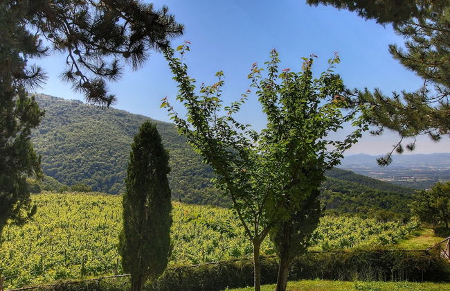 Villa in Tuscany With Pool & Vineyard Views - Foto 39