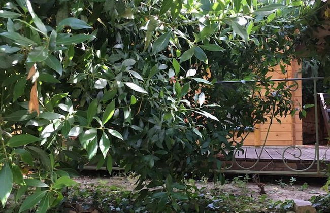 La cabane Romantique et sa balneotherapie - Foto 13