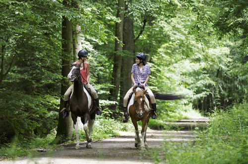 Photo 72 - Center Parcs Les Bois-Francs