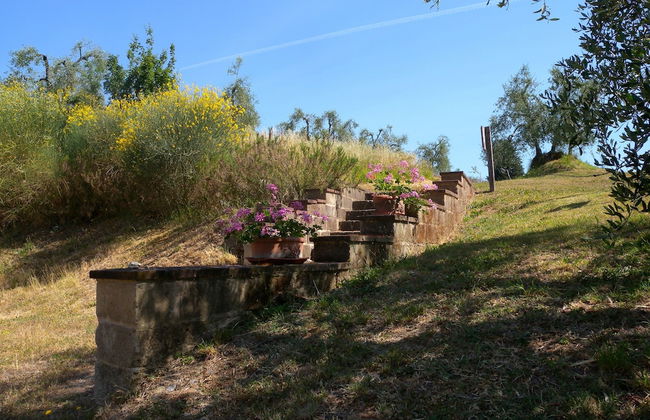 Fattoria di Colleoli - Photo 48