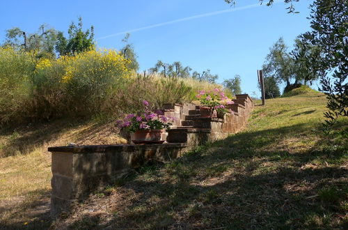 Photo 48 - Fattoria di Colleoli