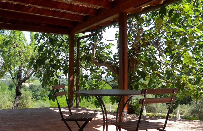 Fattoria di Colleoli - Photo 43