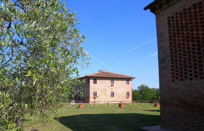Fattoria di Colleoli - Photo 52