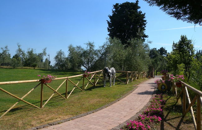 Fattoria di Colleoli - Photo 49