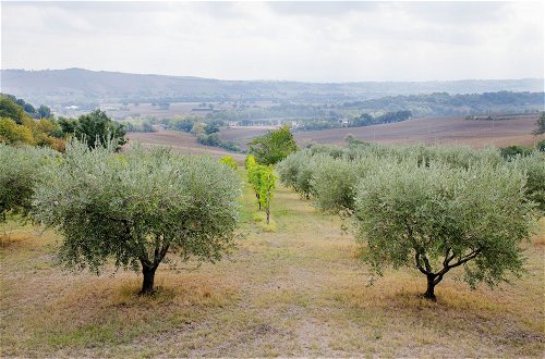 Foto 36 - Home set in Olive Grove With Stunning Views