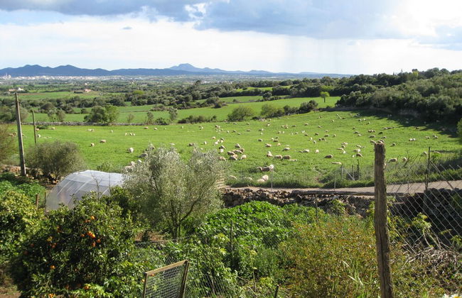 Finca Sa Cova Vella - Foto 57
