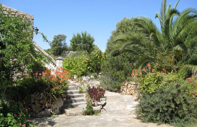 Finca Sa Cova Vella - Foto 24