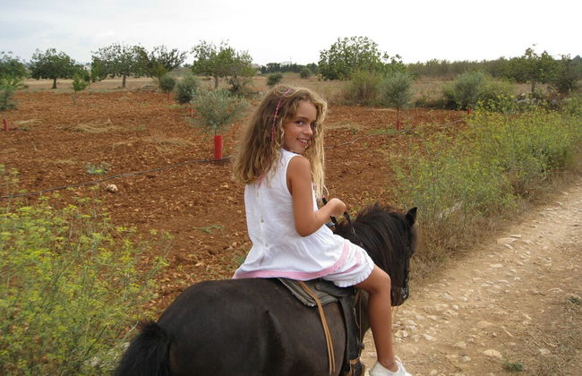 Finca Sa Cova Vella - Foto 47