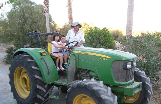 Finca Sa Cova Vella - Foto 46