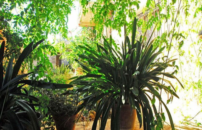 Finca Sa Cova Vella - Foto 26