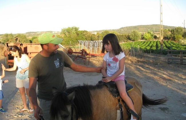 Finca Sa Cova Vella - Foto 45