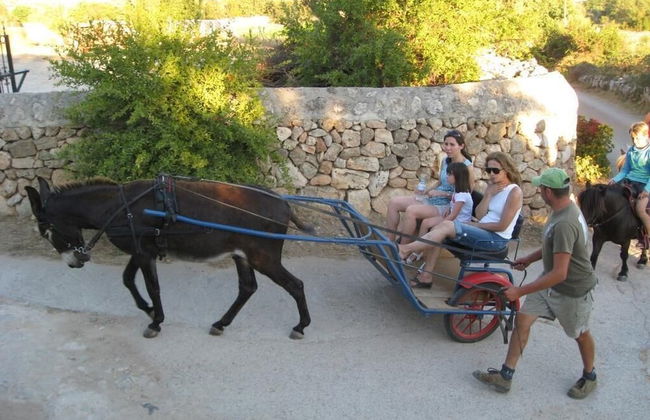 Finca Sa Cova Vella - Foto 44