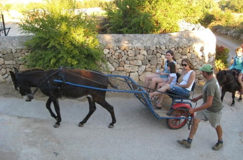 Foto 44 - Finca Sa Cova Vella