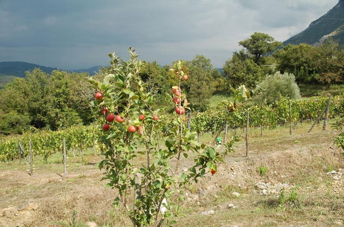 Foto 41 - Santa Pigna Country House