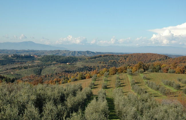 Agriturismo Le Case di San Vivaldo - Foto 76