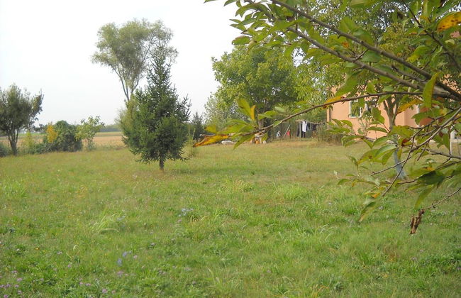 Agriturismo Campi di Grano - Foto 20