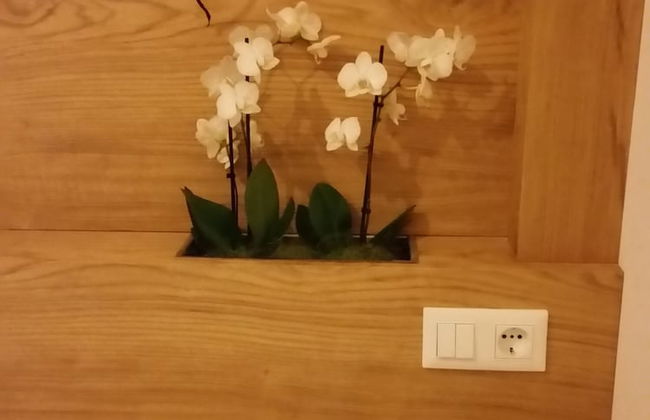 Masetto Egidio Agritur - Photo 3