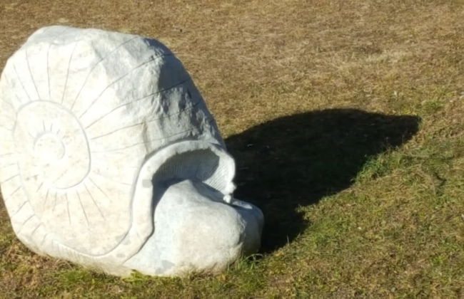 Masetto Egidio Agritur - Photo 55