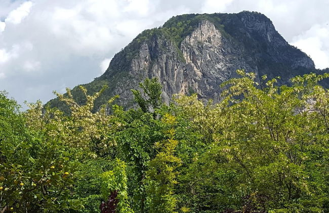 Masetto Egidio Agritur - Photo 40