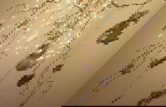 Masetto Egidio Agritur - Photo 36