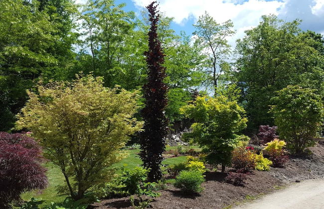 Masetto Egidio Agritur - Photo 43