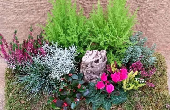 Masetto Egidio Agritur - Photo 50