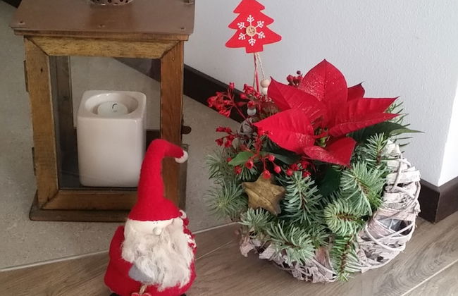 Masetto Egidio Agritur - Photo 37