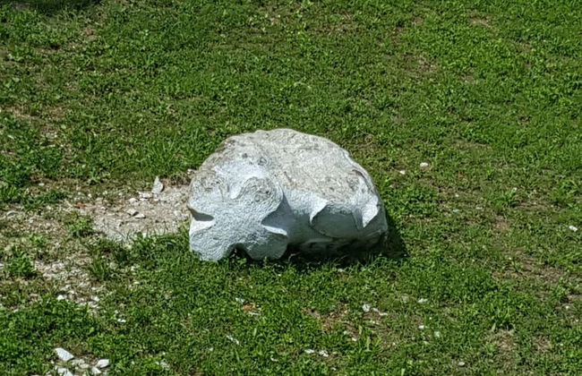 Masetto Egidio Agritur - Photo 48