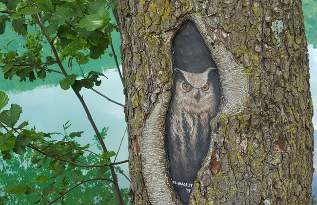 Masetto Egidio Agritur - Photo 56