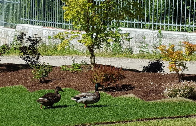 Masetto Egidio Agritur - Photo 42