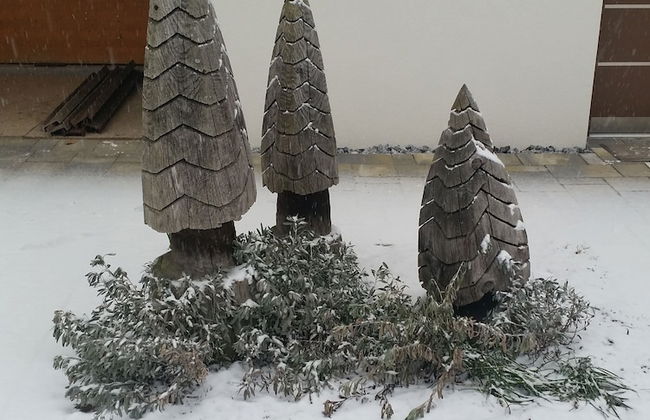 Masetto Egidio Agritur - Photo 57