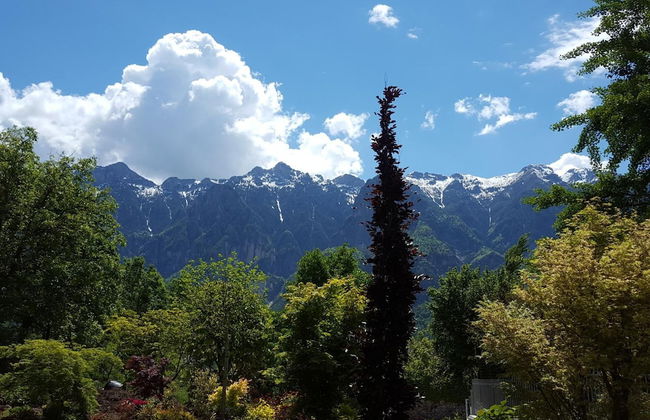 Masetto Egidio Agritur - Photo 49