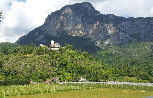 Masetto Egidio Agritur - Photo 45