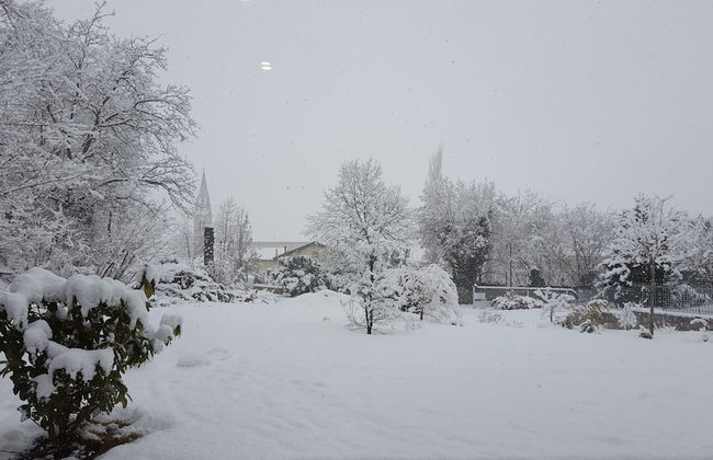 Masetto Egidio Agritur - Photo 63