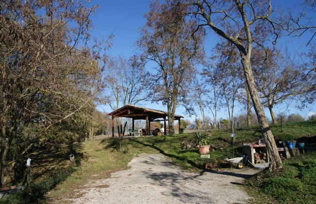Agriturismo Il Cornalino - Foto 30