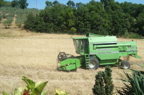 Photo 23 - Fattoria Del Quondam