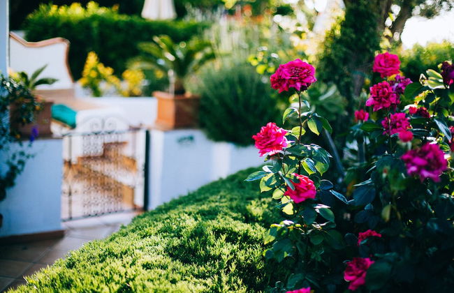 IL Giardino Dell'Arte - Guest House - Foto 34