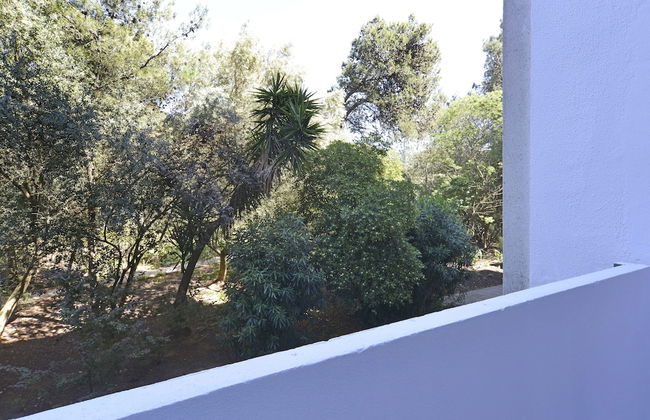 Tropical View Apartment - Foto 17