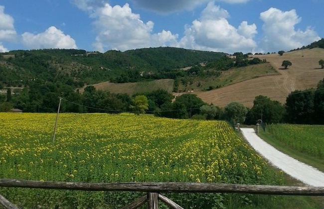 Agriturismo Il Casale - Foto 56