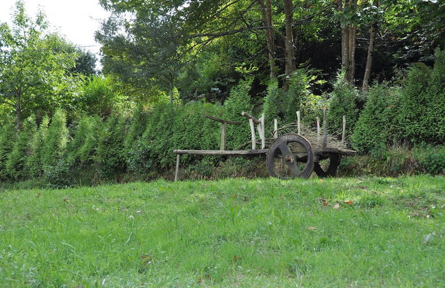 Muiño das Cañotas - Foto 26