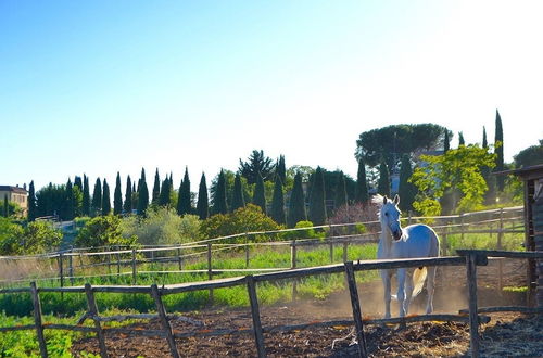 Photo 57 - Ars Naturae Biologic Farm