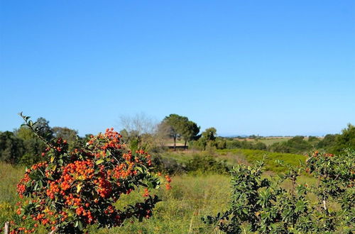 Photo 65 - Ars Naturae Biologic Farm