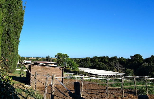 Ars Naturae Biologic Farm - Foto 56