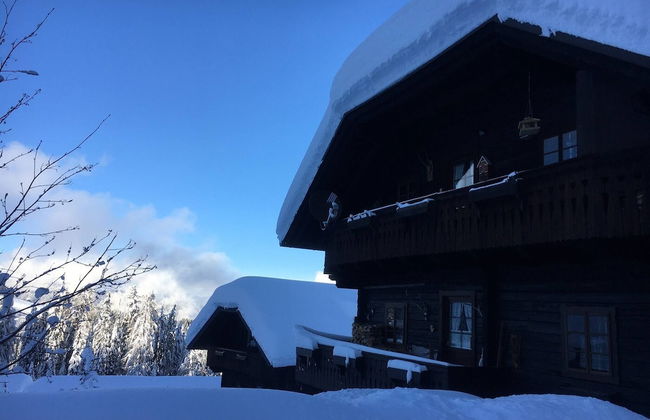Alma Apartment in Sonnleitn Am Nassfeld at 1484m - Foto 19