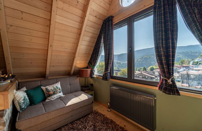 Dandy Villas Karpenisi-Lux Chalet - Foto 44