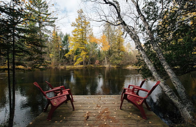 Uncle Tom's 3BDR Cabin For Nature Lover - Photo 78
