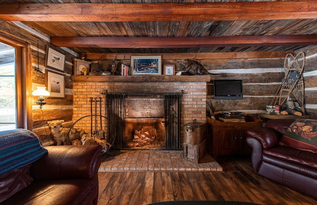 Uncle Tom's 3BDR Cabin For Nature Lover - Photo 50
