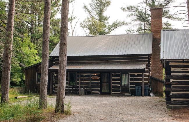 Uncle Tom's 3BDR Cabin For Nature Lover - Photo 53