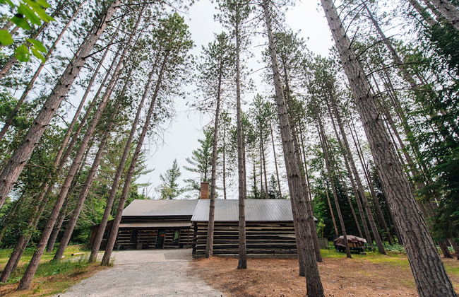 Uncle Tom's 3BDR Cabin For Nature Lover - Photo 64